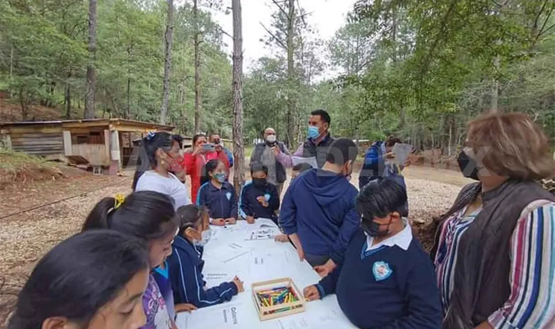 Con reforestación celebraron el Día del Árbol