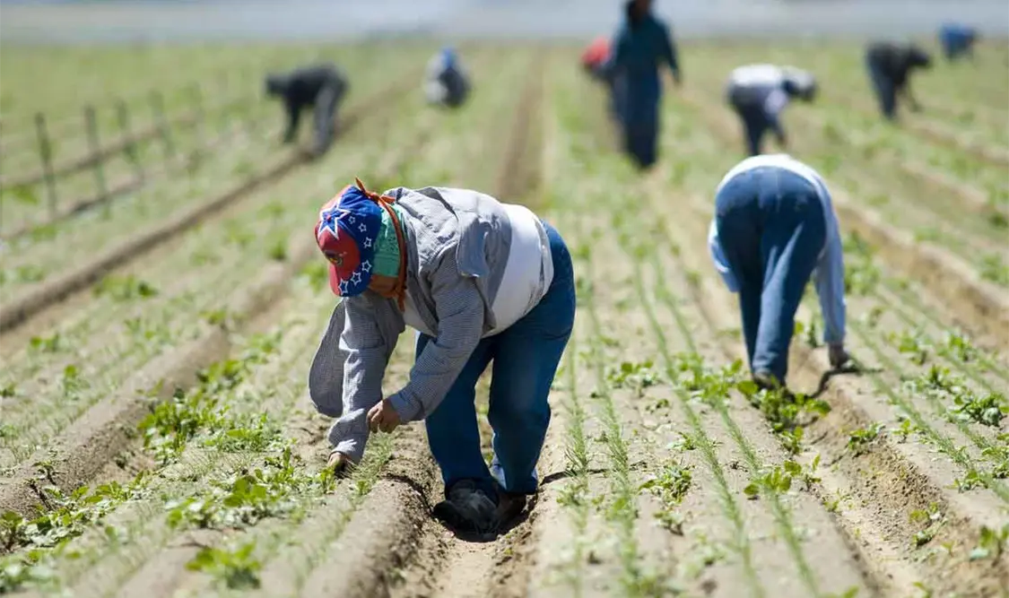 AMLO insiste en que se debe regularizar a mexicanos en EUA