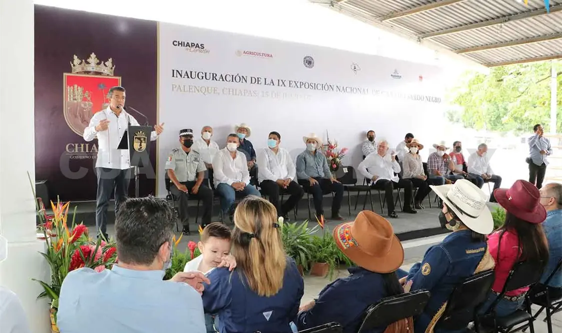 Inaugura Escandón IX Exposición de Ganado