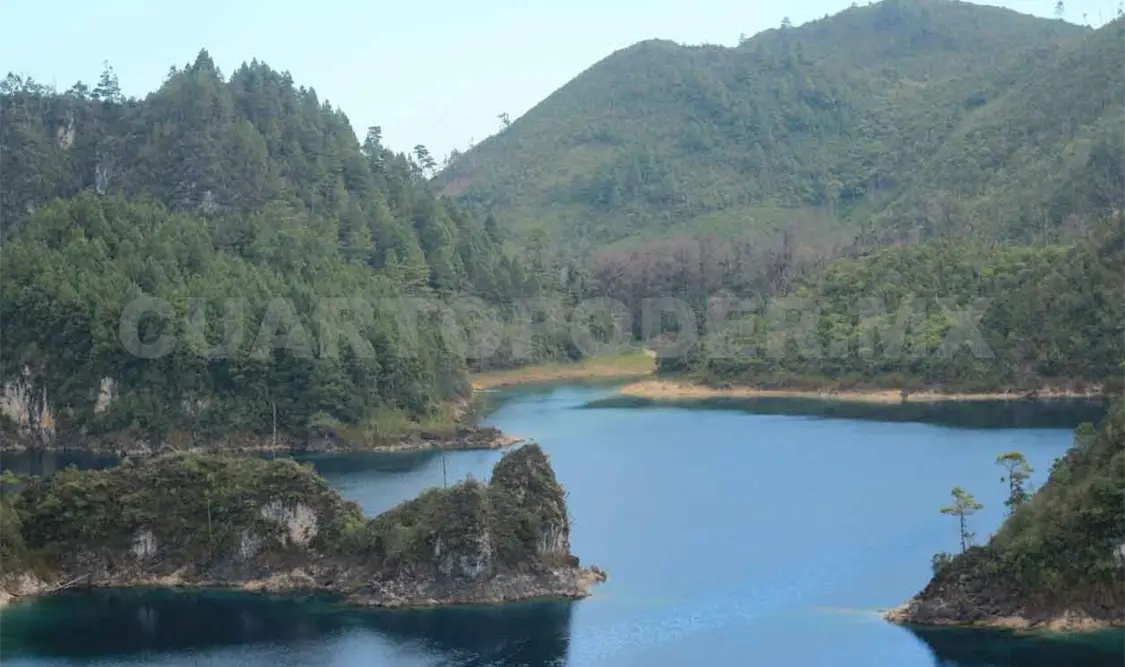 Chiapas, lugar 16 en superficie forestal