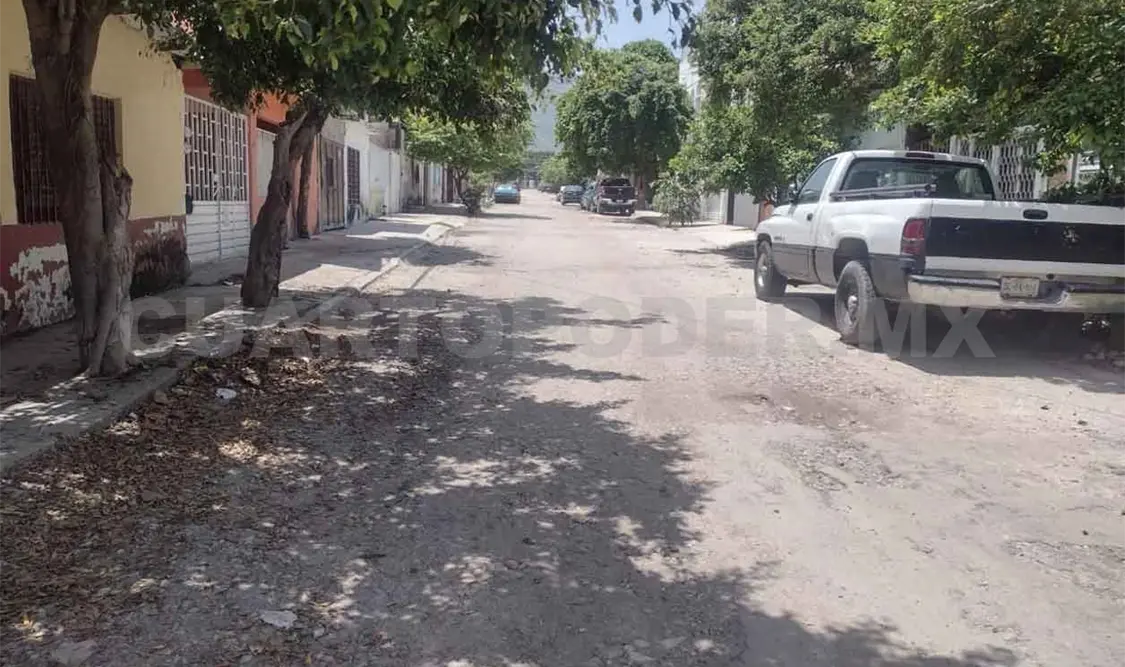 Exigen atención de CFE en la Albania Alta