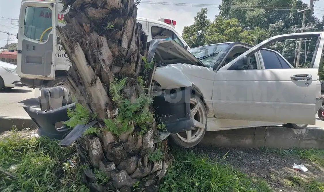 Impacta en palmera al perder el control