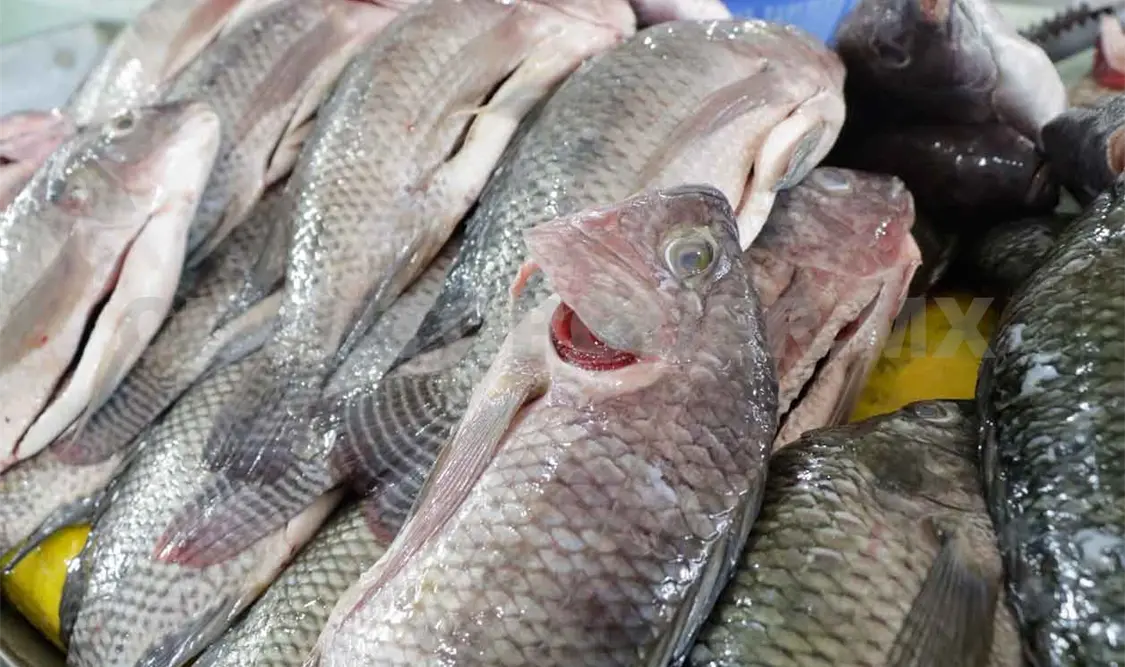 Marea roja golpea a los vendedores de mariscos