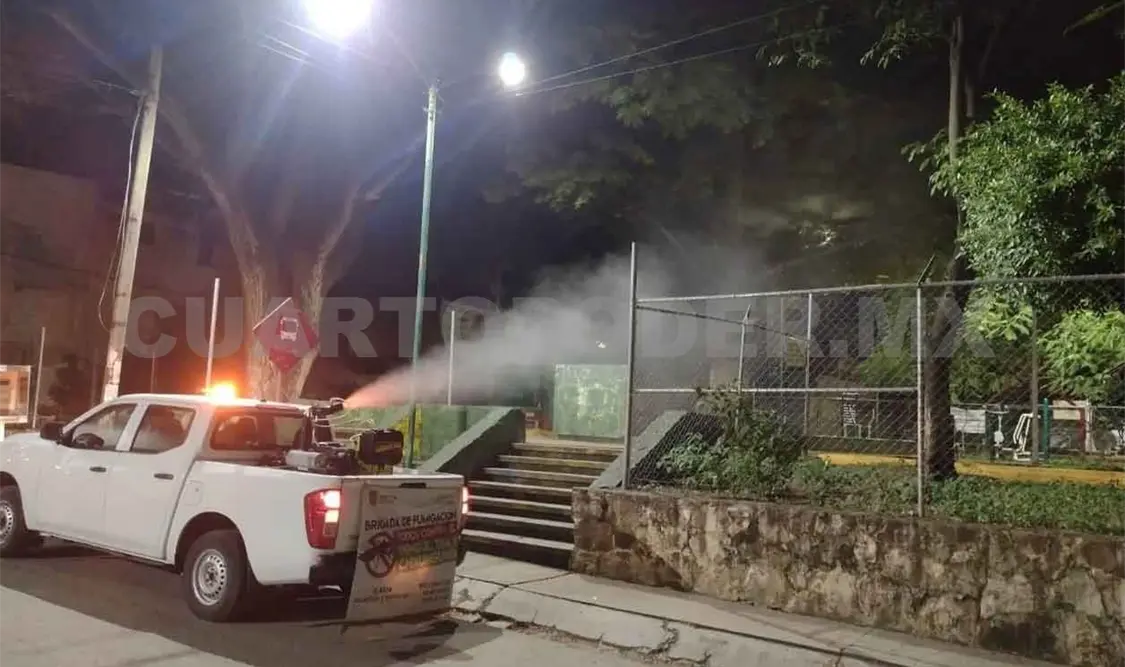 Invitan a mantener patios y azoteas limpios