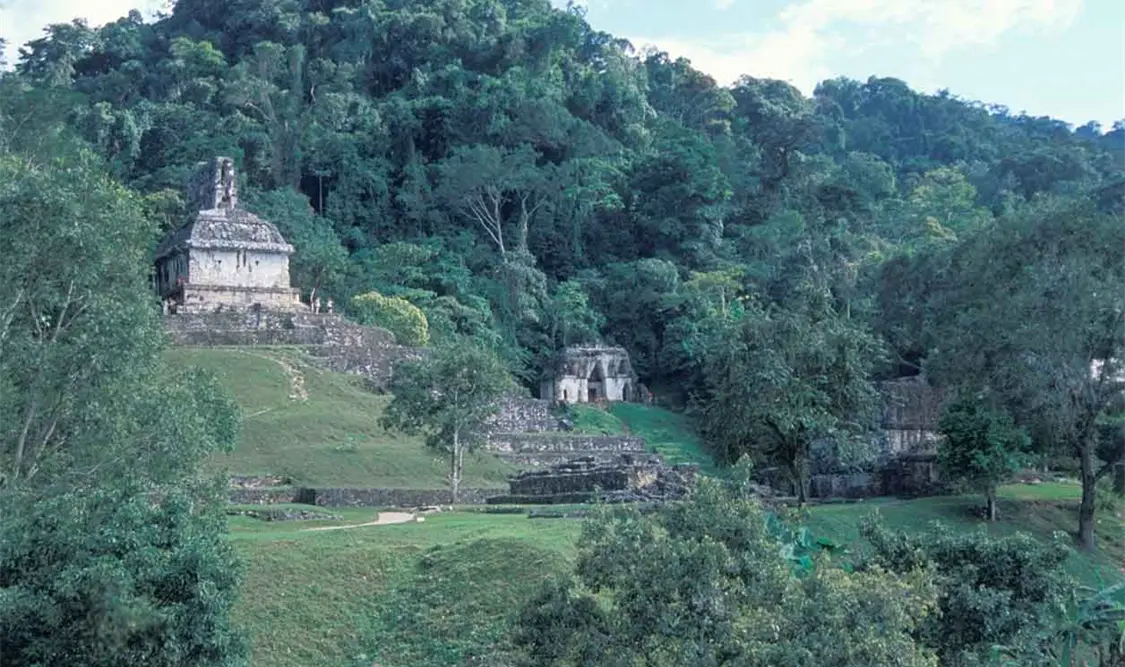 Celebran 41 aniversario del Parque Nacional Palenque