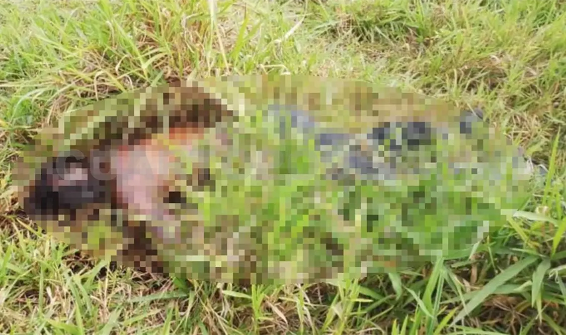 Aparece a hombre sin vida en el potrero de un rancho