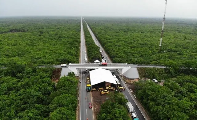 La demanda de amparo tiene como uno de los actos reclamados la carencia de autorización de impacto ambiental para la realización de las obras. Cortesía