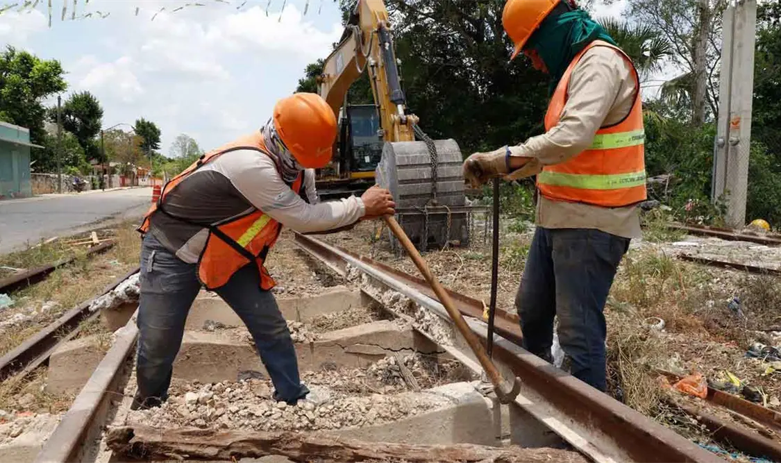 Exigen detener destrucción ambiental del Tren Maya