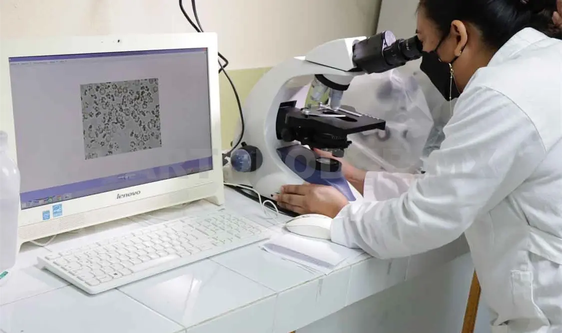 Hepatitis, desde una cirrosis hasta cáncer en el hígado