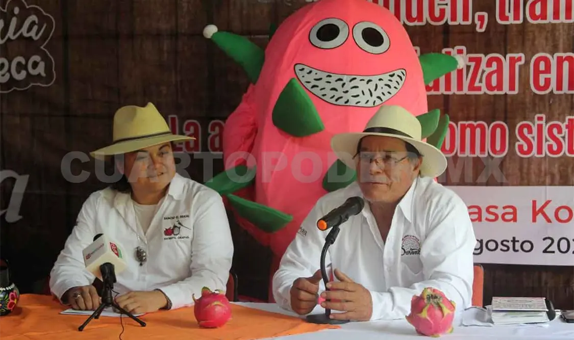 Segunda Feria de la Pitahaya