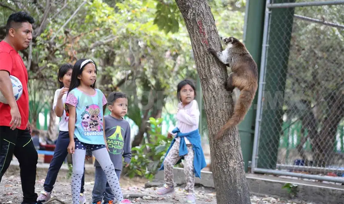 Parques y riveras como hogar de vida silvestre