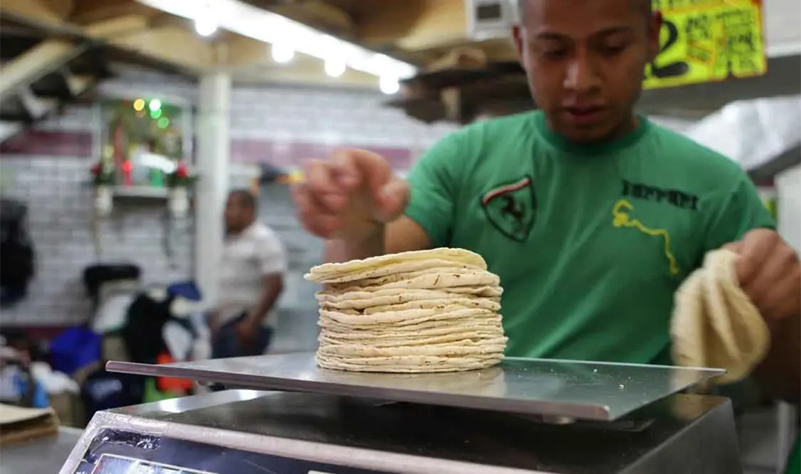 Piden a SHCP subsidiar tortilla