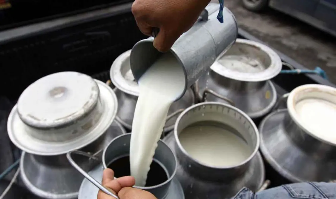 México va a importar leche en polvo de EUA