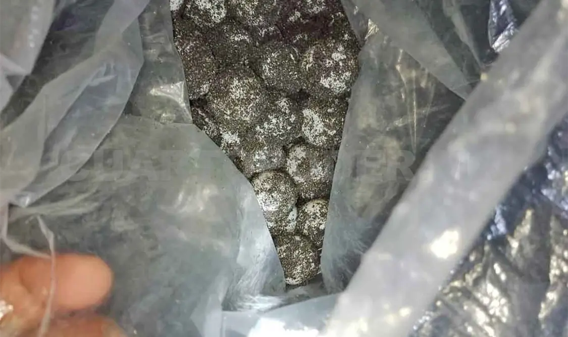 Aumenta venta de huevos de tortuga en restaurantes