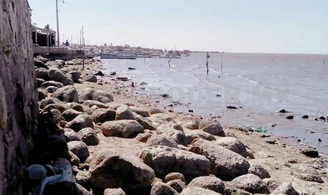 Terquedad de pescadores genera contaminación