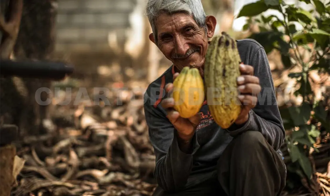 Intervienen en rescate de cultivos ancestrales