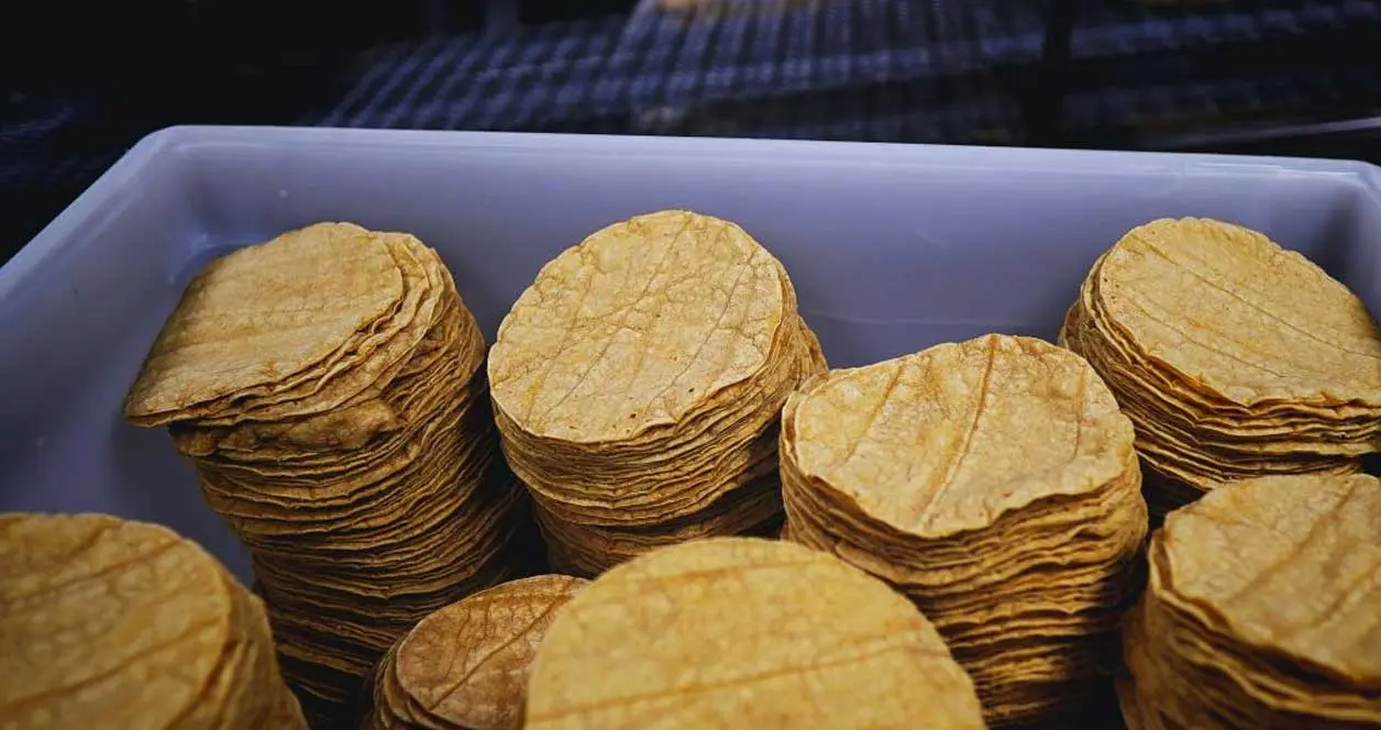 Las tortillas “pirata” son elaboradas con más olotes y no con maíz. Cortesía