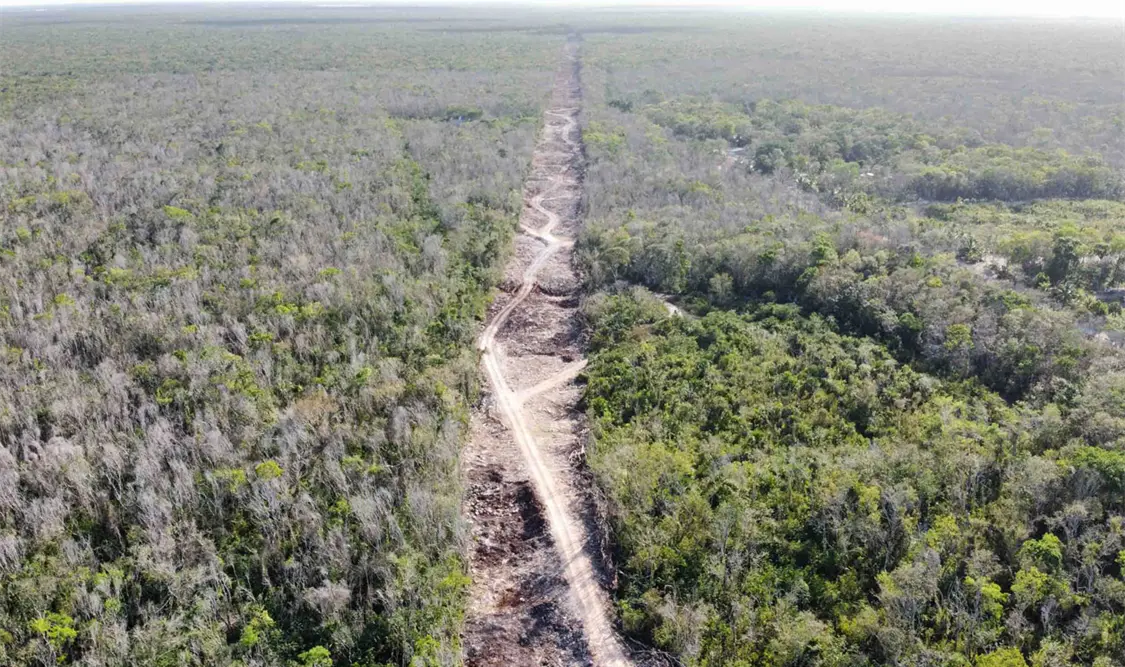Crean frente a favor del Tren Maya en Quintana Roo
