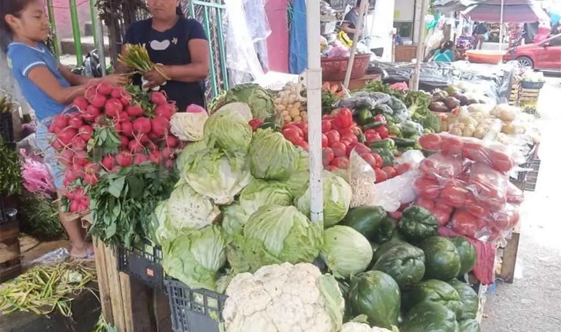 Carestía obliga a ver productos del campo