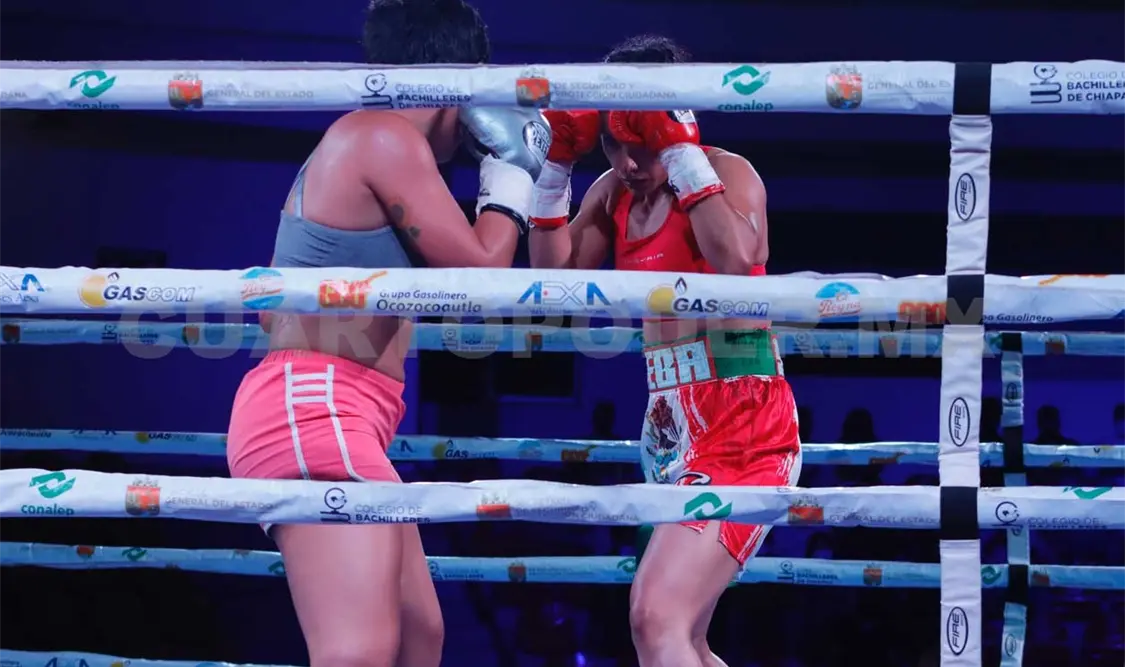 Pugilistas darán el grito arriba del ring