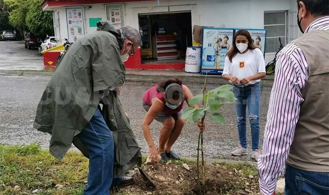 Exhortan a todos los tuxtlecos a sumarse a las campañas de reforestación en las diversas colonias. CP