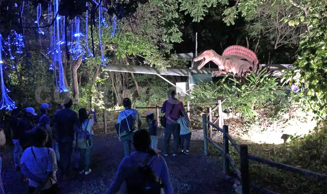 Recorrido nocturno en Sbeel, experiencia fantástica