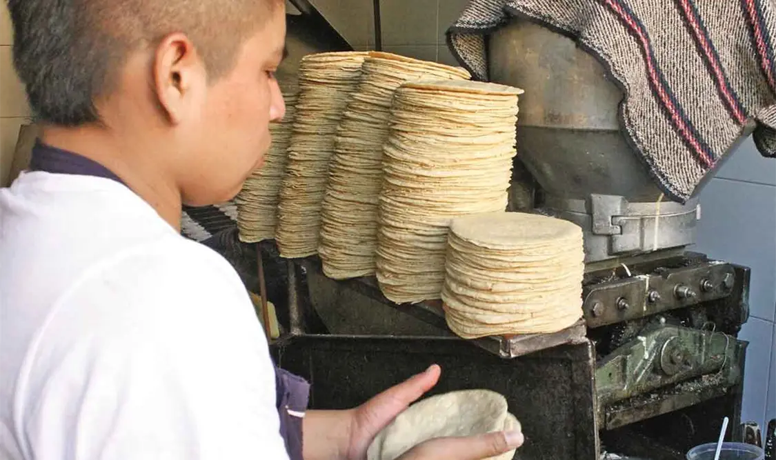 Maseca provoca aumento en la tortilla: Sheffield