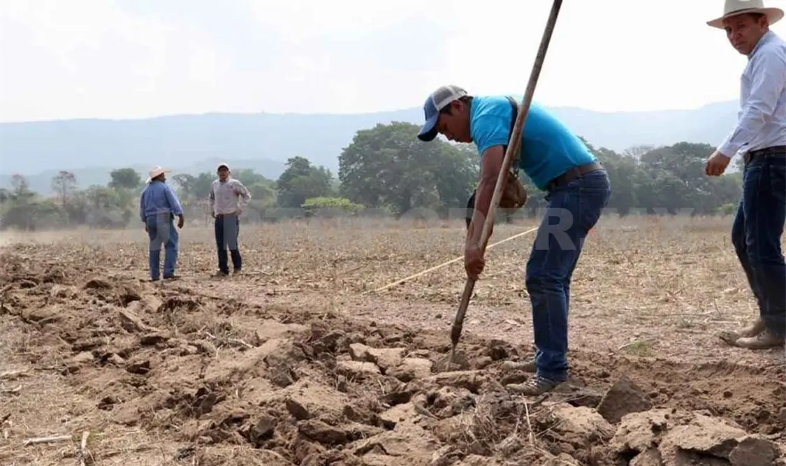 Promueven prácticas para aumentar humedad en cultivos
