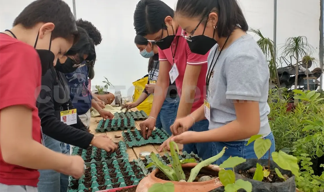 Curso de Verano fortalece la educación ambiental