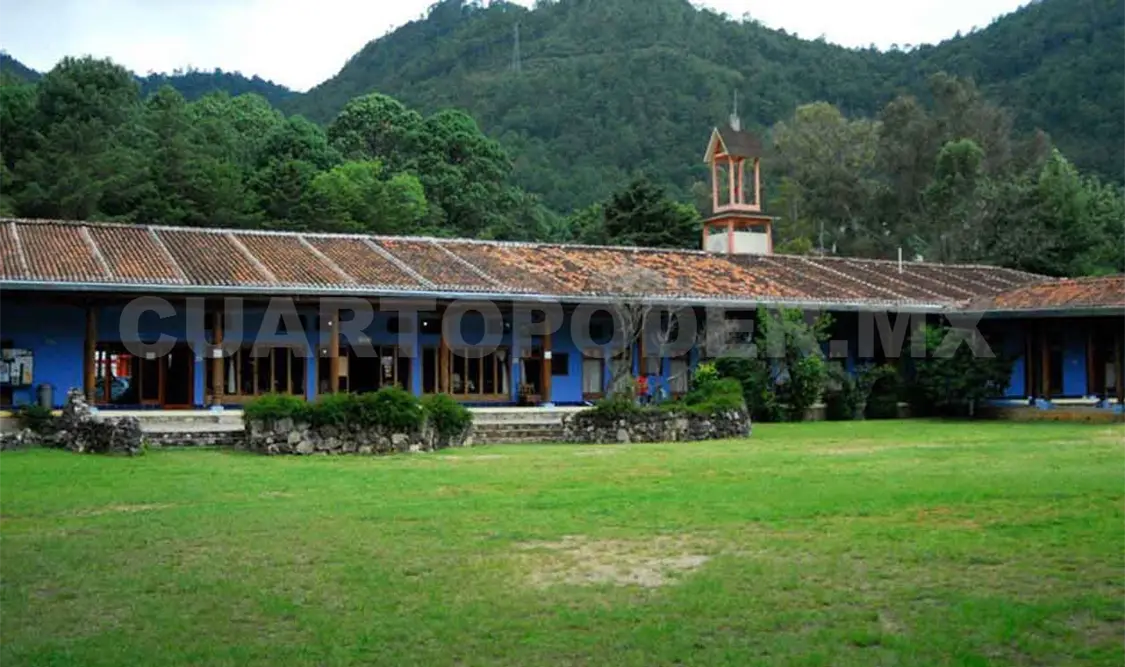 Investigadores de Ecosur hablarán del sargazo