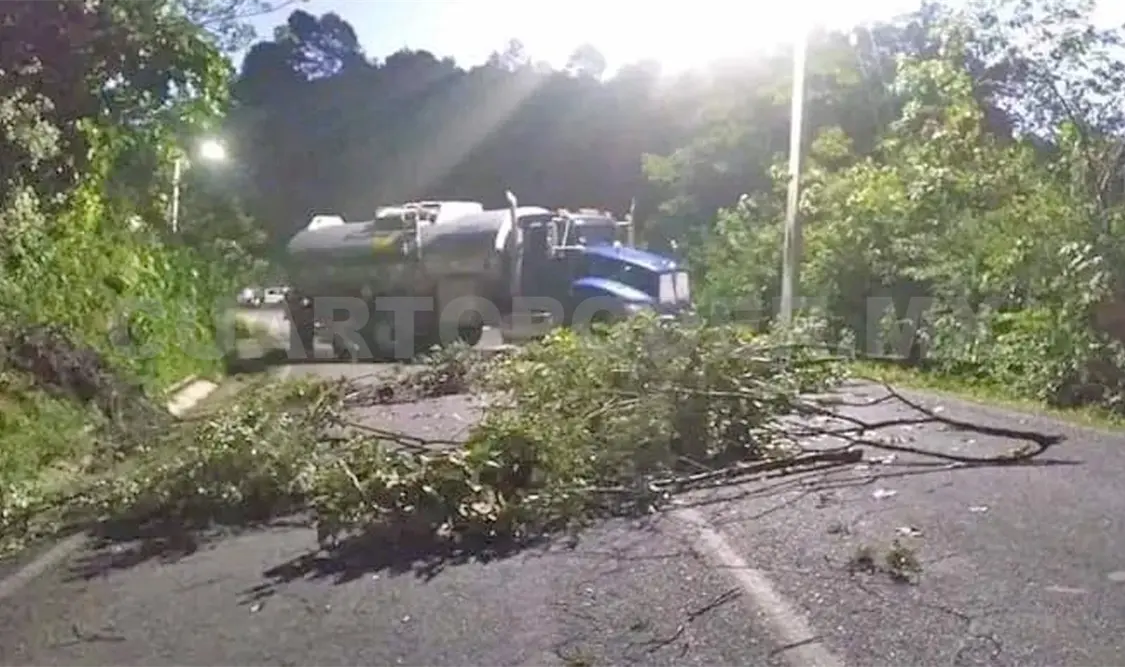 La carretera San Cristóbal-Ocosingo-Palenque se vio inaccesible desde las 3:00 horas hasta las 10 de la mañana del sábado. Cortesía