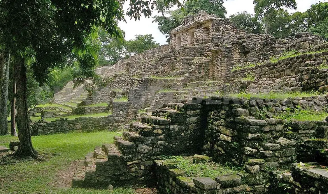 Celebran aniversarios de cuatro áreas naturales