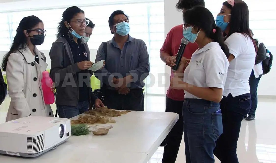 Bioplástico, opción para evitar contaminación