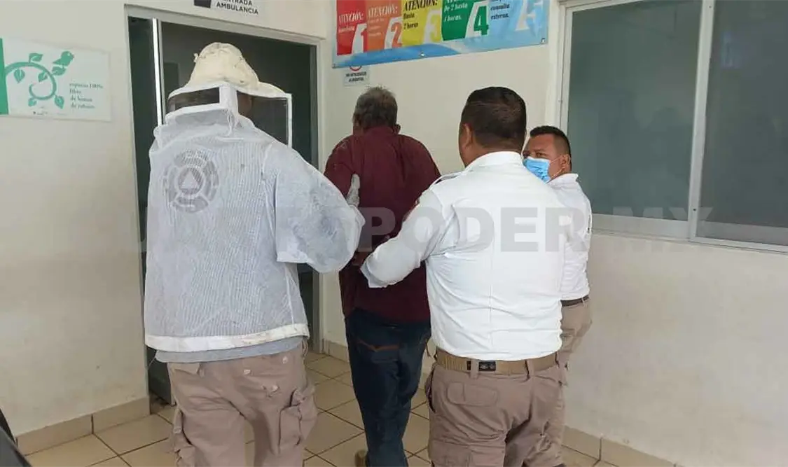 Abejas atacan a adulto mayor y es hospitalizado