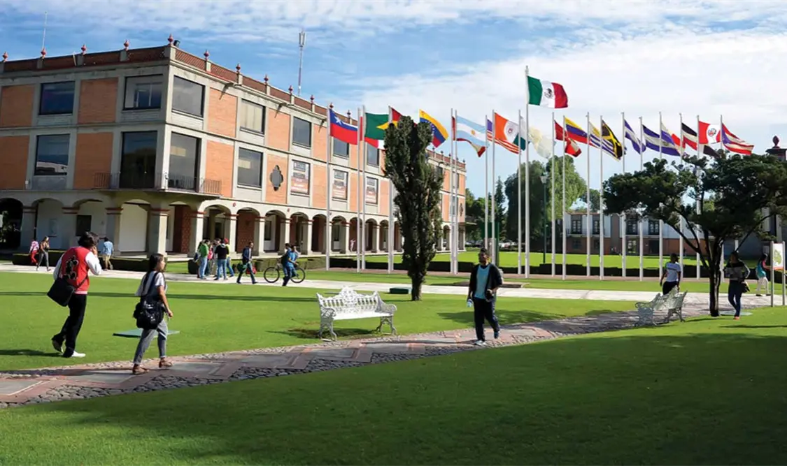 El festival se realizará del 1 de septiembre al 8 de diciembre. Cortesía