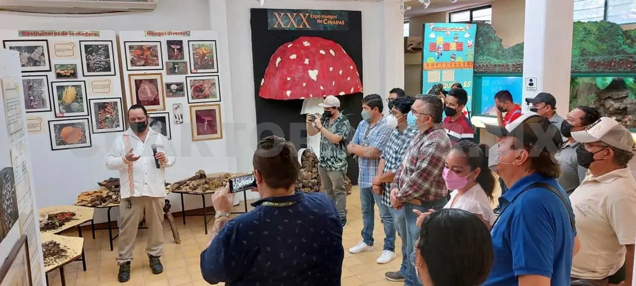 Realizan la XXX Expo Hongos de Chiapas