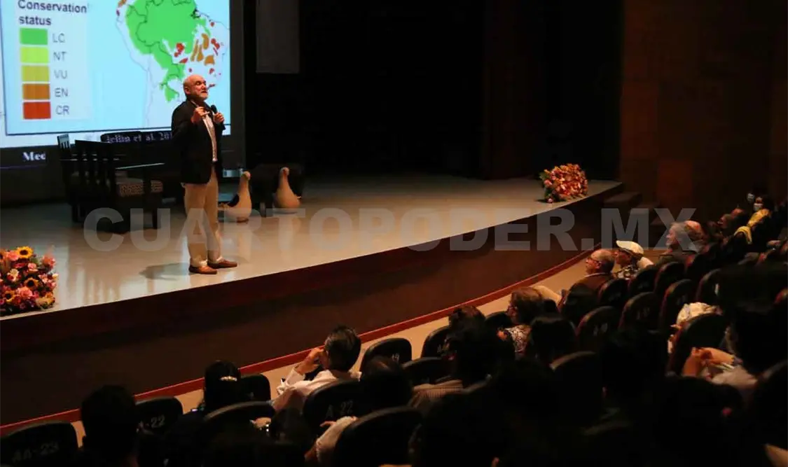 Murciélagos están siendo amenazados por humanos