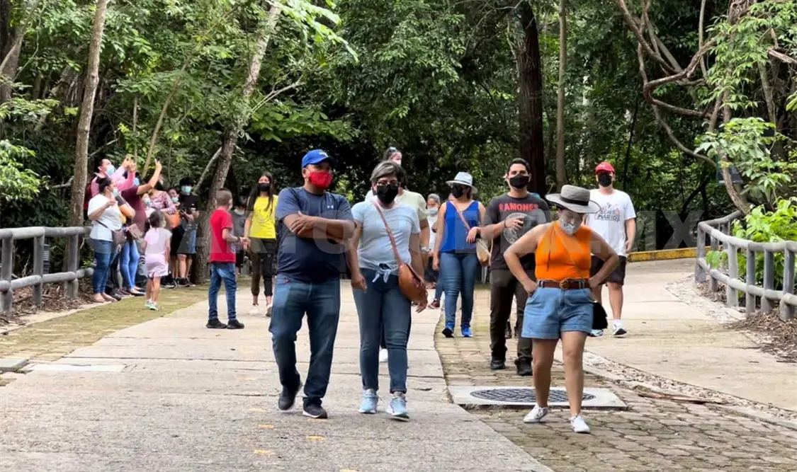 ZooMAT rompe récord de afluencia