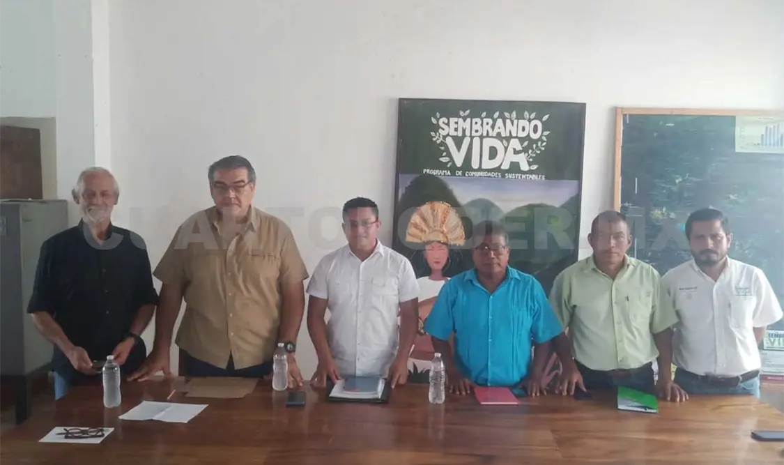 Productores comercializarán aguacate Hass