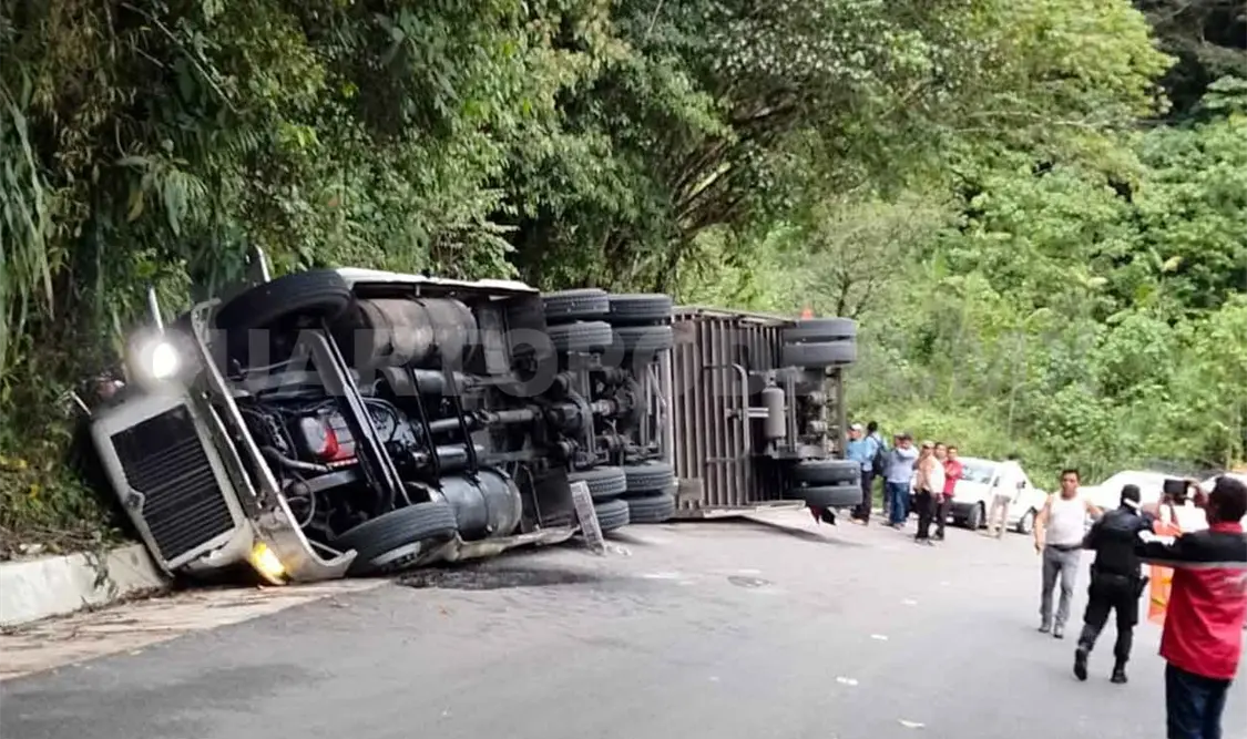 Pesada unidad que iba cargada de insumos volcó