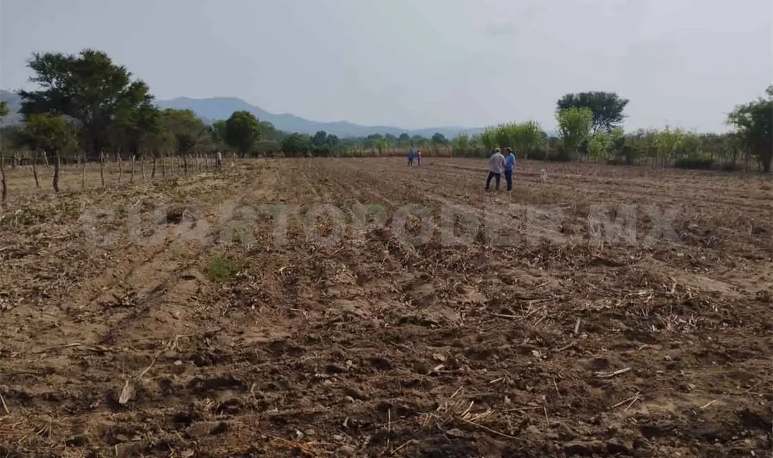 Deben revertirse secuelas del campo convencional