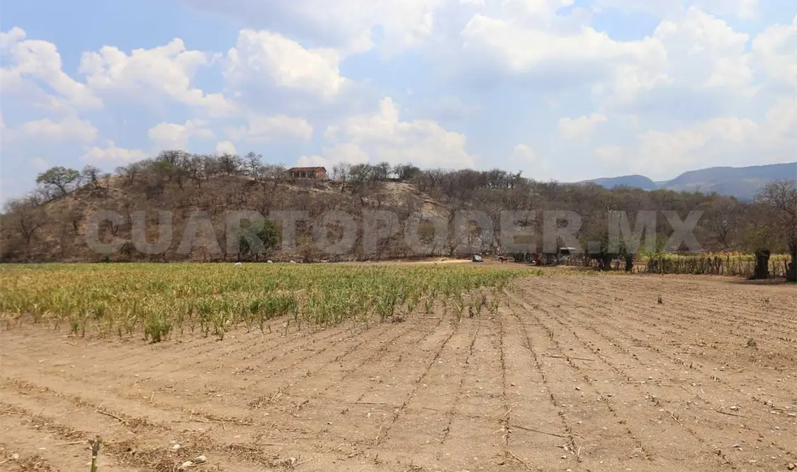 El campo en riesgo por falta de apoyos. Carlos López / CP