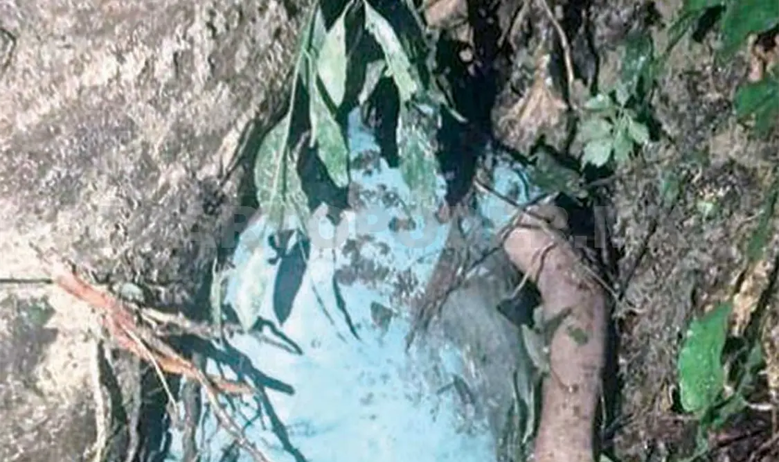 El árbol que talaba el sujeto lo aplastó, falleciendo al instante. Cortesía