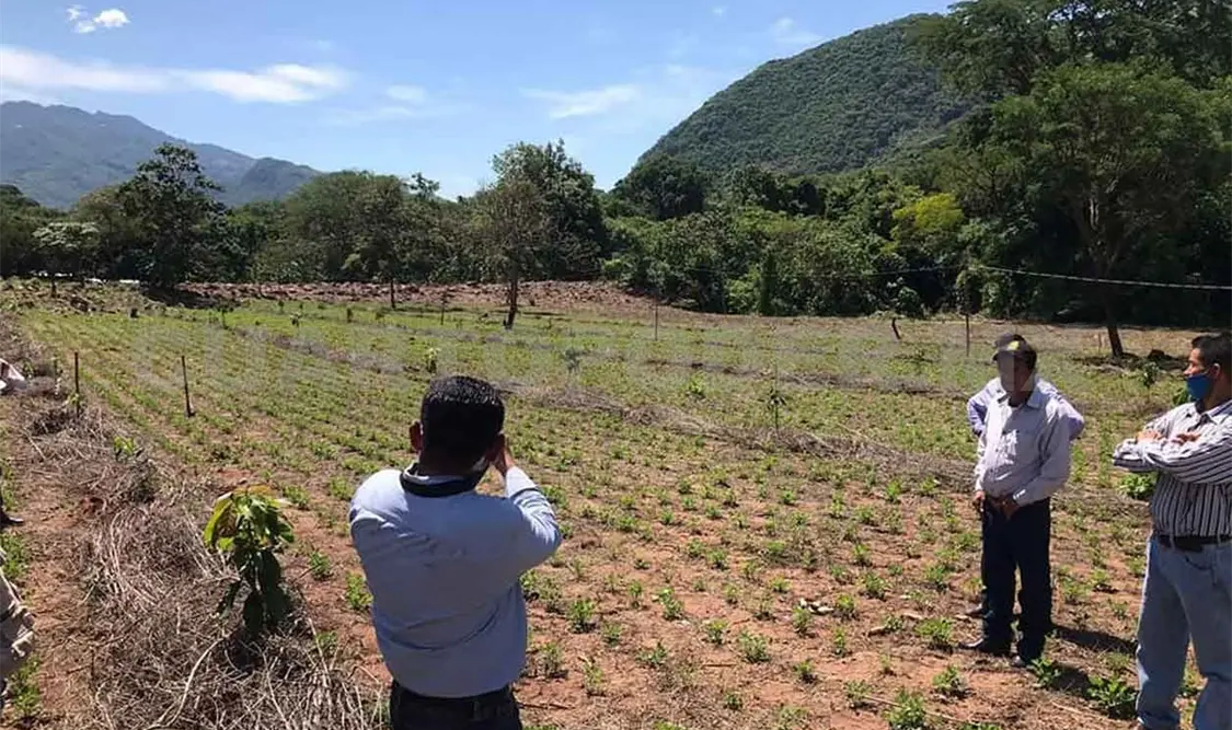 Visitarán 370 mil unidades de producción