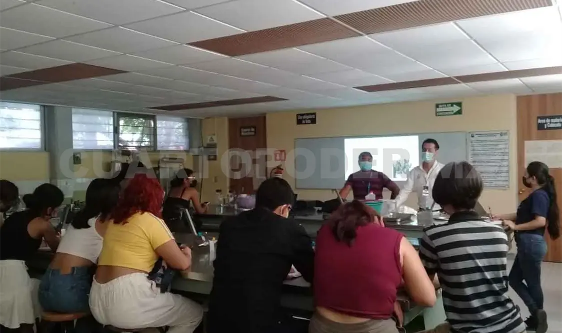 Imparten cursos de herbolaria en diversos municipios
