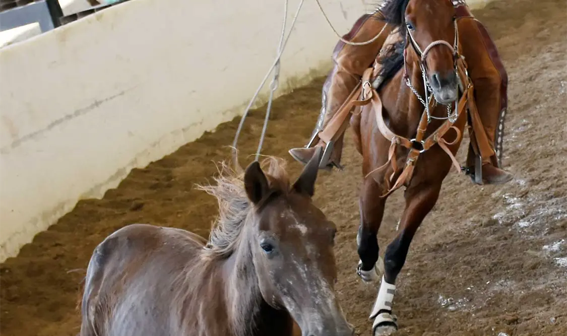 Don Juan arranca fuerte en el III Circuito Millonario