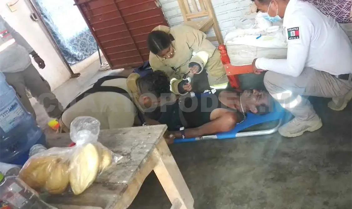 Oficinista es atacado por decenas de abejas