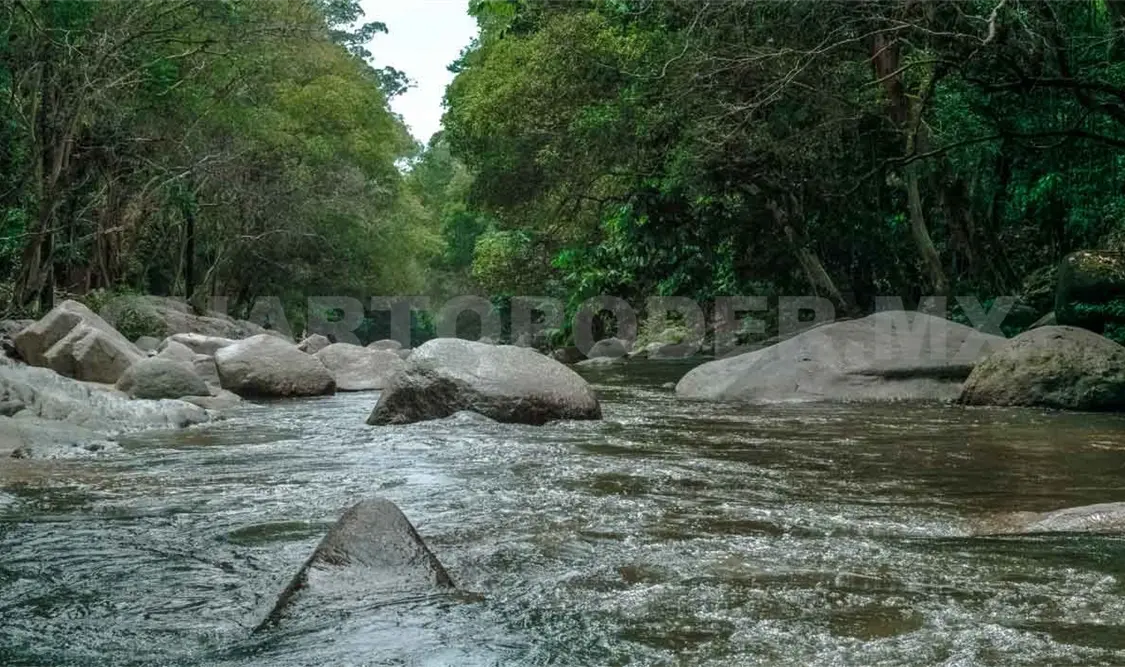 Buscan rescatar el río Lagartero