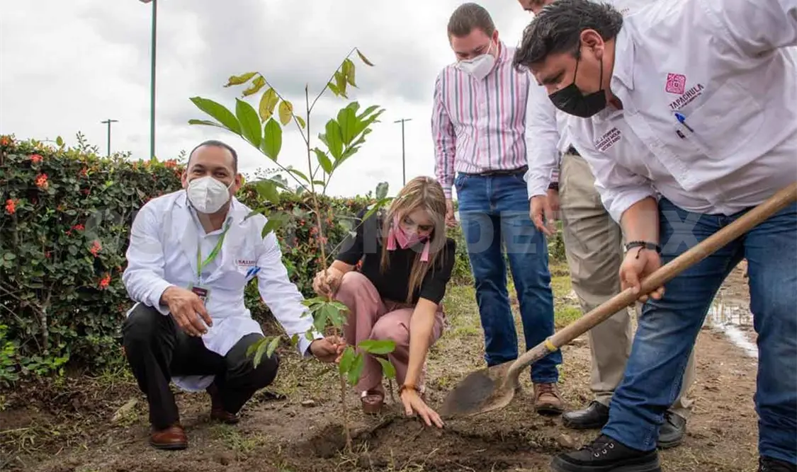 Encabeza Rosy Urbina campaña de reforestación