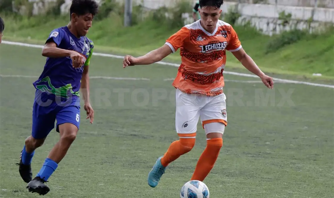 Lechuzas recibe peligrosa visita de Dragones
